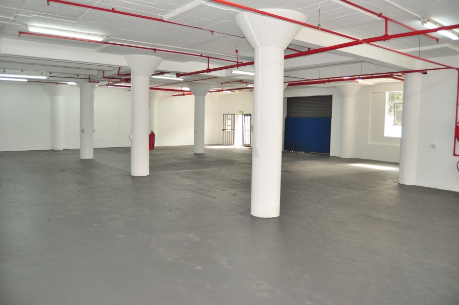 To Let commercial Property for Rent in Paarden Eiland Western Cape